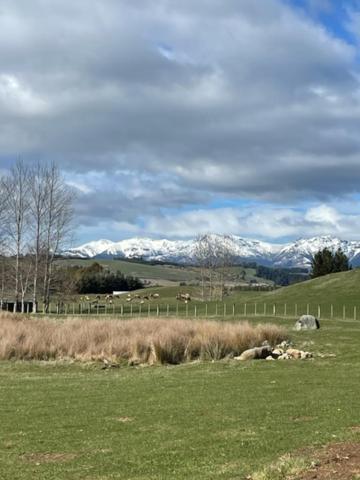Boutique Tiny House - Te Anau Country Accommodation Esterno foto