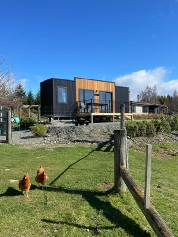 Boutique Tiny House - Te Anau Country Accommodation Esterno foto